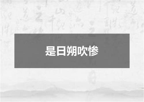 是日朔吹惨