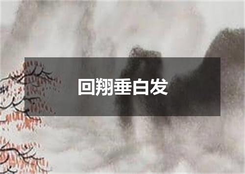 回翔垂白发