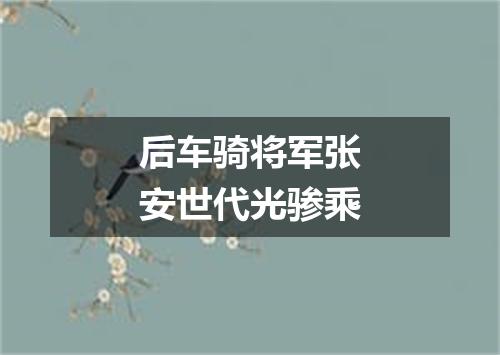 后车骑将军张安世代光骖乘