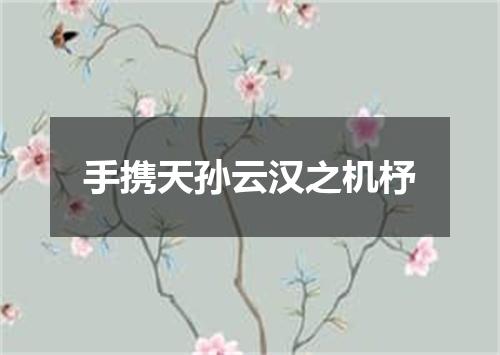 手携天孙云汉之机杼