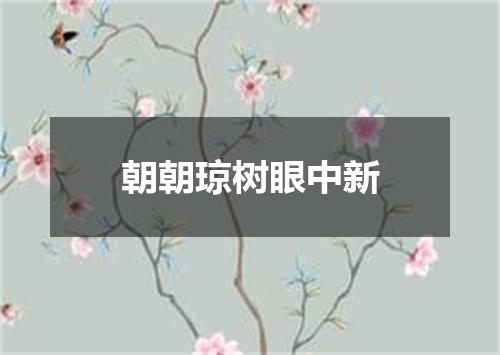 朝朝琼树眼中新