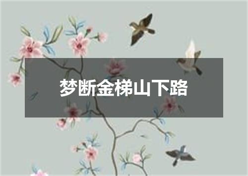 梦断金梯山下路