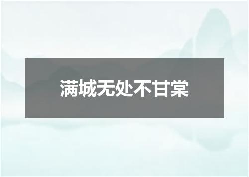 满城无处不甘棠