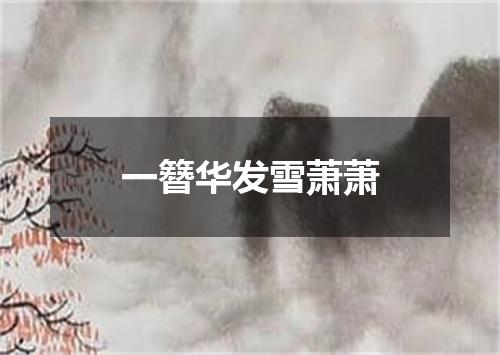 一簪华发雪萧萧