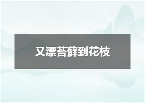 又漂苔藓到花枝