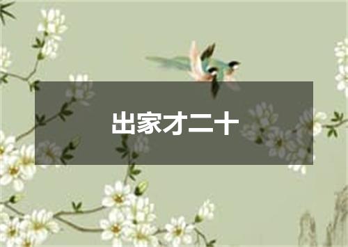 出家才二十