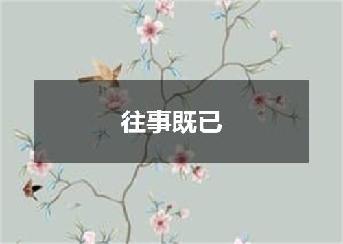 往事既已