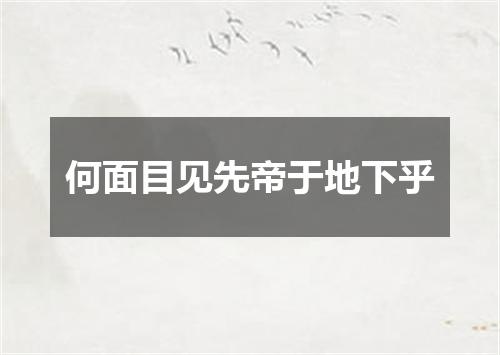 何面目见先帝于地下乎