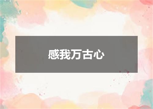 感我万古心