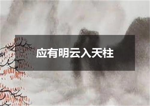 应有明云入天柱