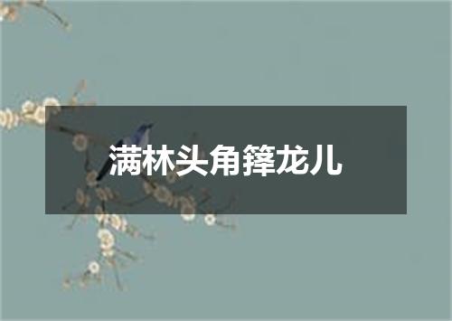 满林头角箨龙儿