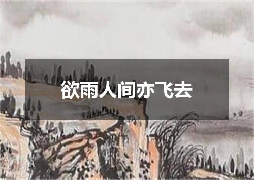 欲雨人间亦飞去