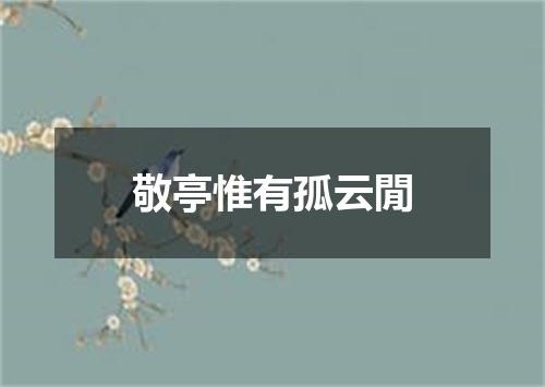 敬亭惟有孤云閒