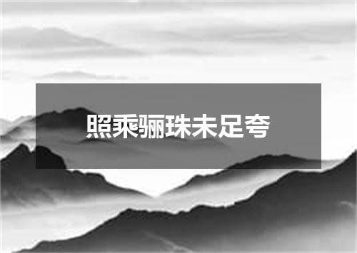 照乘骊珠未足夸