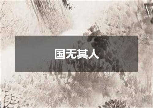 国无其人