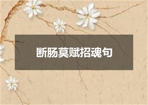 断肠莫赋招魂句