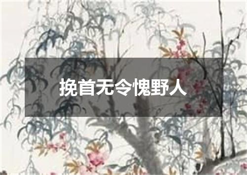 挽首无令愧野人