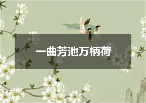 一曲芳池万柄荷
