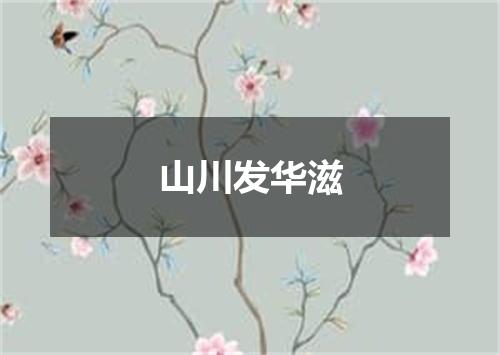 山川发华滋