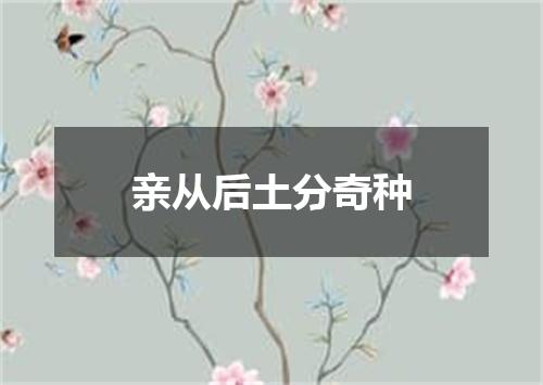 亲从后土分奇种
