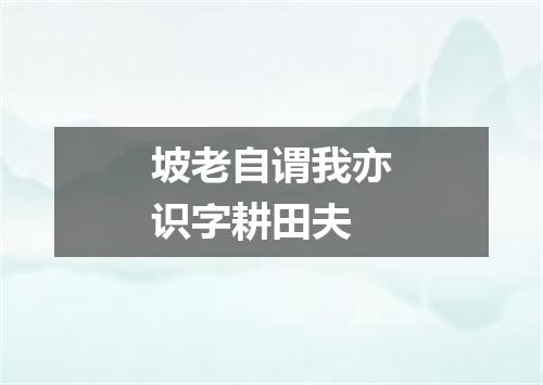 坡老自谓我亦识字耕田夫