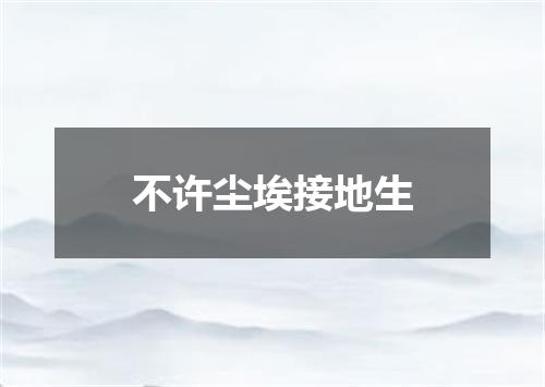 不许尘埃接地生