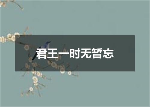 君王一时无暂忘