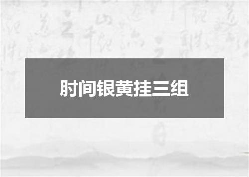 肘间银黄挂三组