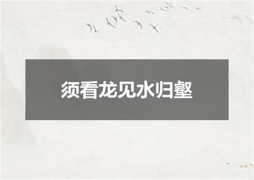须看龙见水归壑