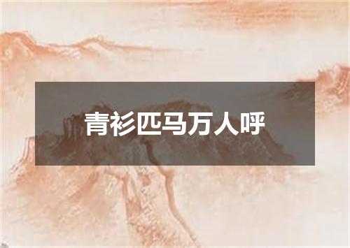 青衫匹马万人呼