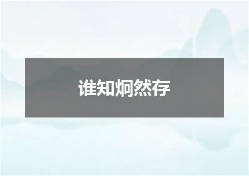 谁知炯然存