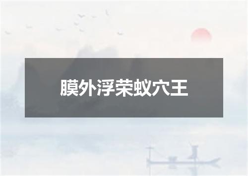 膜外浮荣蚁穴王