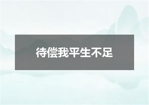 待偿我平生不足