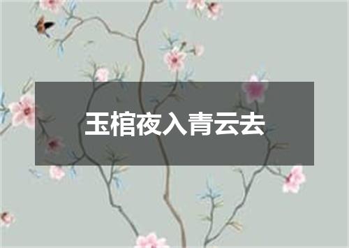 玉棺夜入青云去