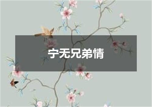 宁无兄弟情