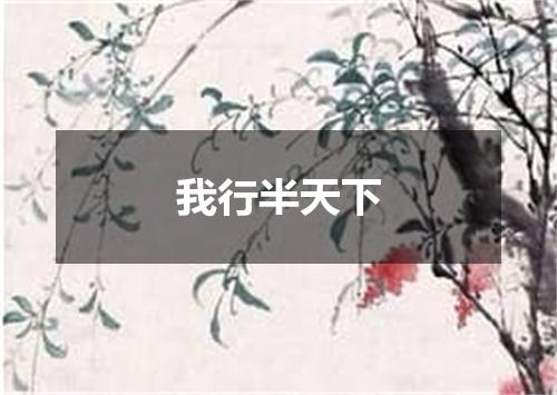 我行半天下