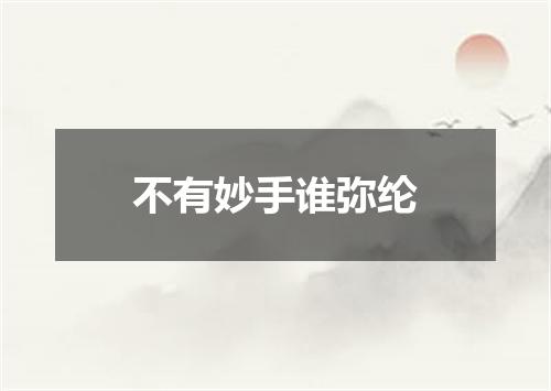 不有妙手谁弥纶