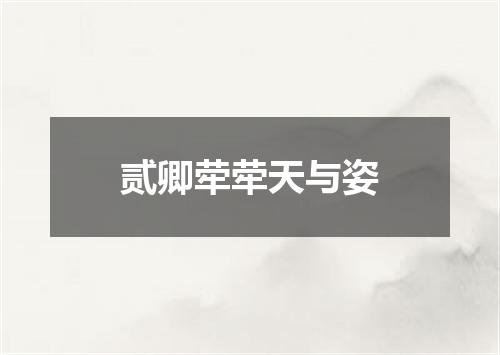 贰卿荦荦天与姿