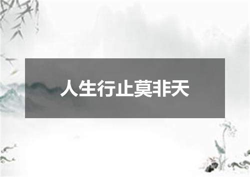 人生行止莫非天