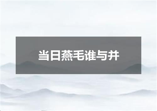 当日燕毛谁与并