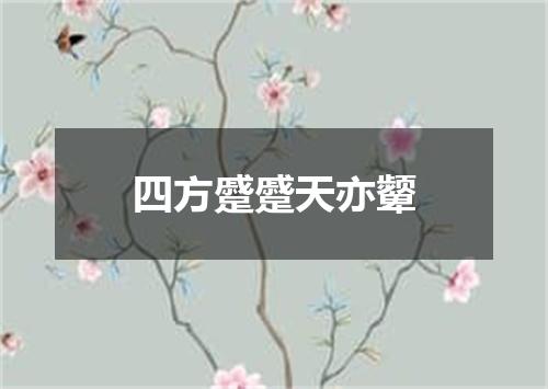 四方蹙蹙天亦颦