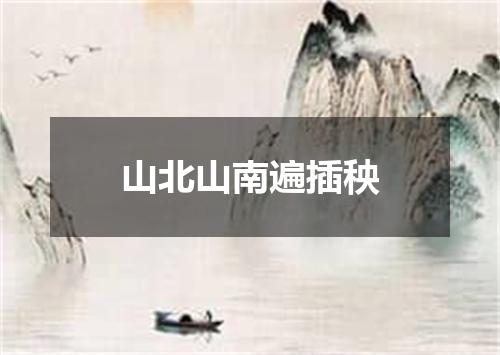 山北山南遍插秧