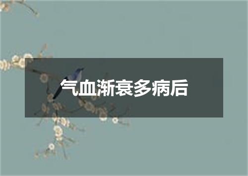 气血渐衰多病后
