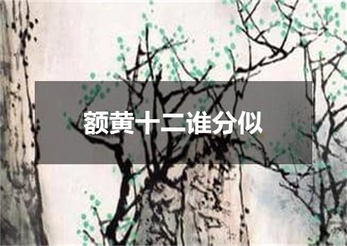 额黄十二谁分似