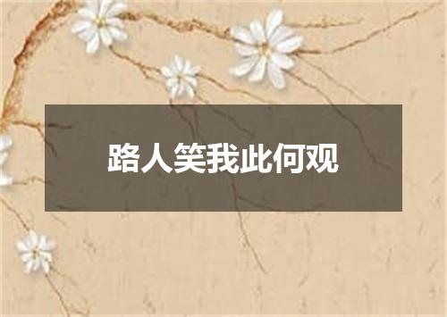 路人笑我此何观
