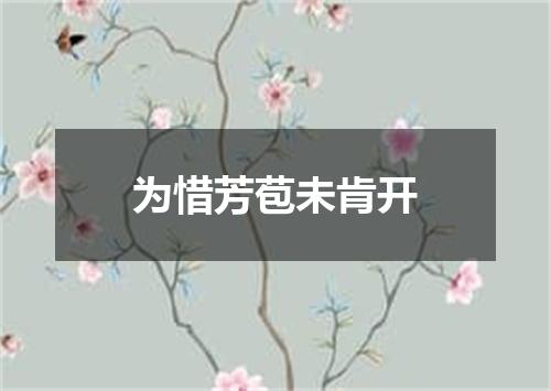 为惜芳苞未肯开