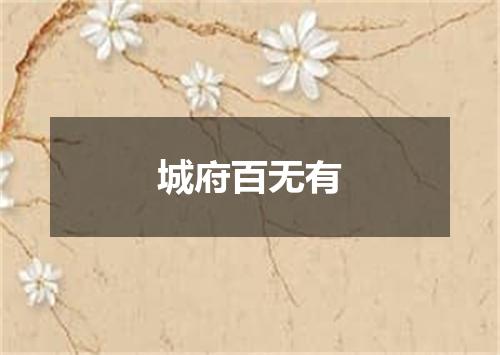城府百无有