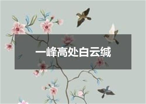 一峰高处白云缄