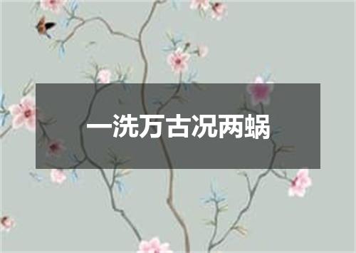 一洗万古况两蜗