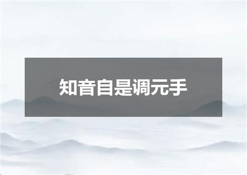 知音自是调元手